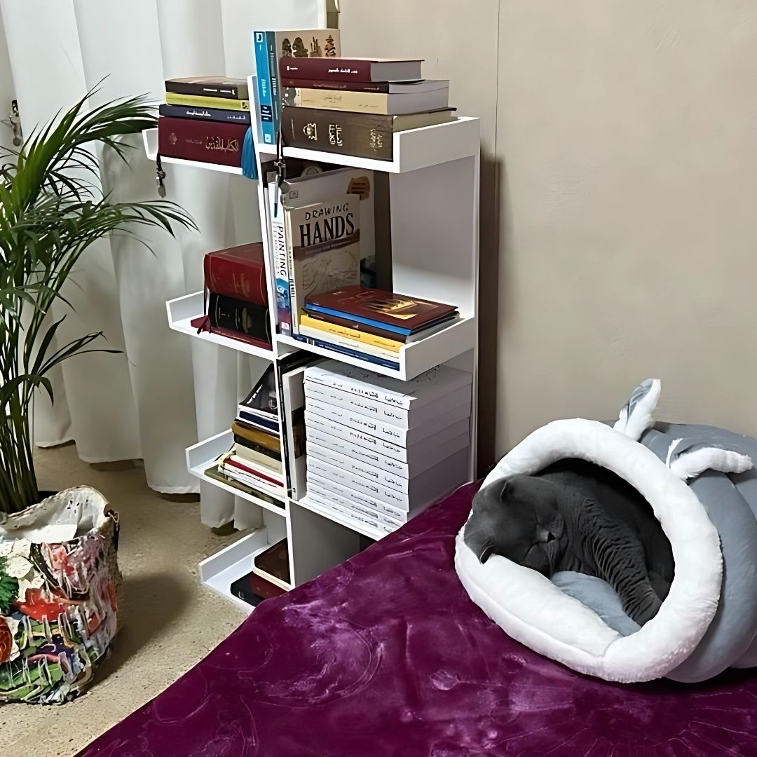 The Classic Shelf